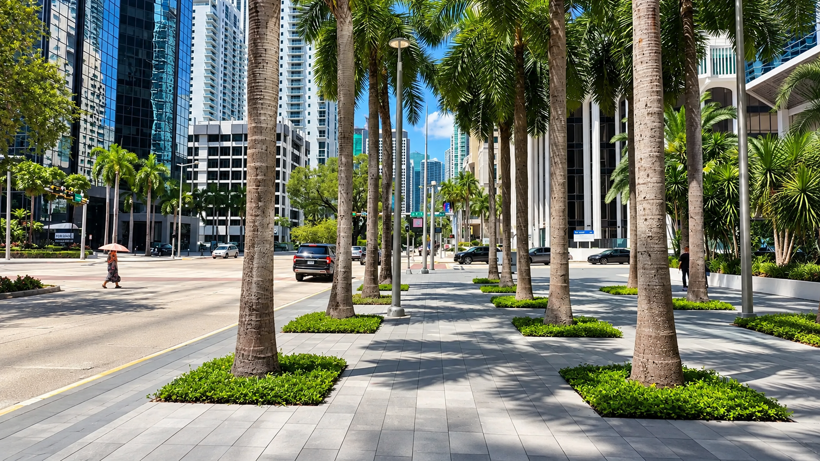 The Avenue